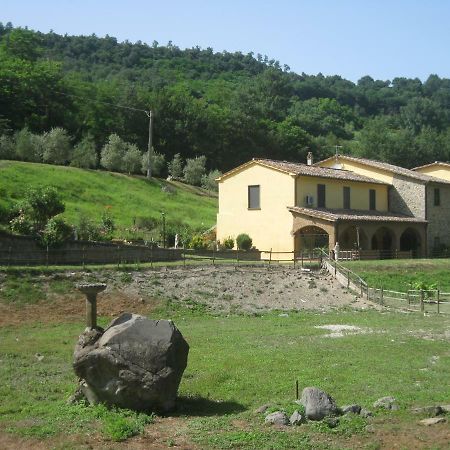 Ferienwohnung Alloggio Turistico Mooneyes Castiglione In Teverina Exterior foto