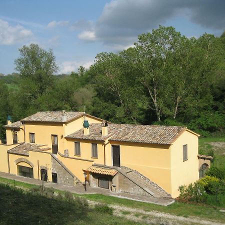 Ferienwohnung Alloggio Turistico Mooneyes Castiglione In Teverina Exterior foto