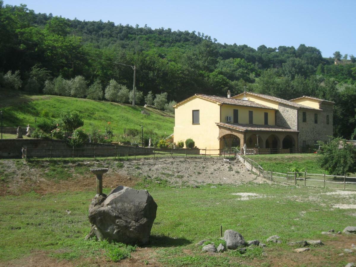 Ferienwohnung Alloggio Turistico Mooneyes Castiglione In Teverina Exterior foto