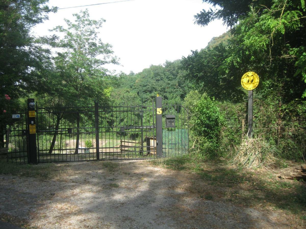 Ferienwohnung Alloggio Turistico Mooneyes Castiglione In Teverina Exterior foto